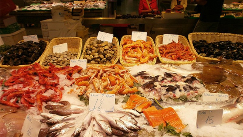 魚